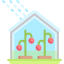 greenhouse (1)