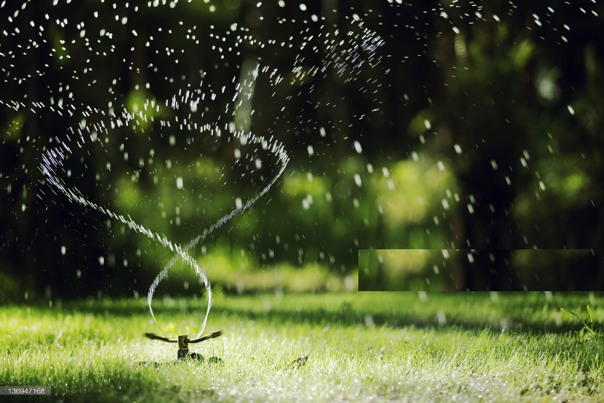 irrigation irrigation